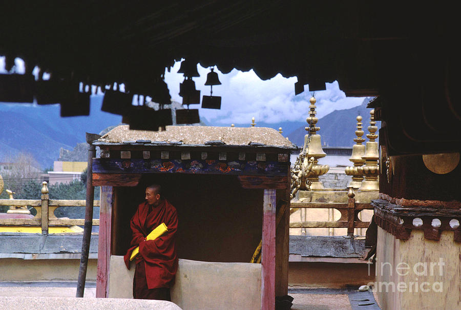 Tibetan Monk with Scroll on Jokhang Roof Photograph by Anna Lisa Yoder