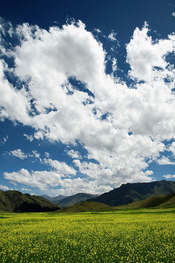 Tibetan Plateau by Peter Menzel/science Photo Library