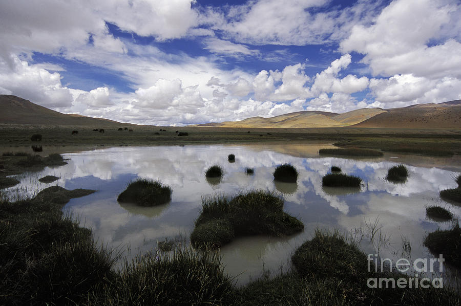 Tibetan Refletion - Mt Kailash Region Photograph by Craig Lovell