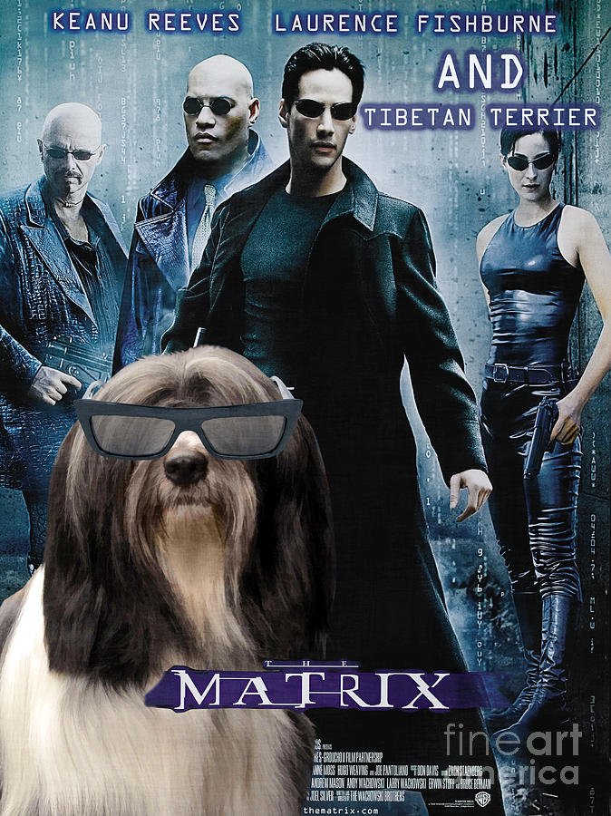 Tibetan Terrier Art - Matrix Movie Poster Painting by Sandra Sij