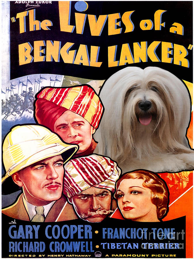 Tibetan Terrier Art - The Lives of a Bengal Lancer Movie Poster Painting by Sandra Sij