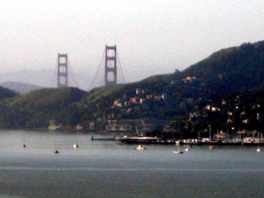 Tiburon Bay Photograph by Donna Roberts - Fine Art America