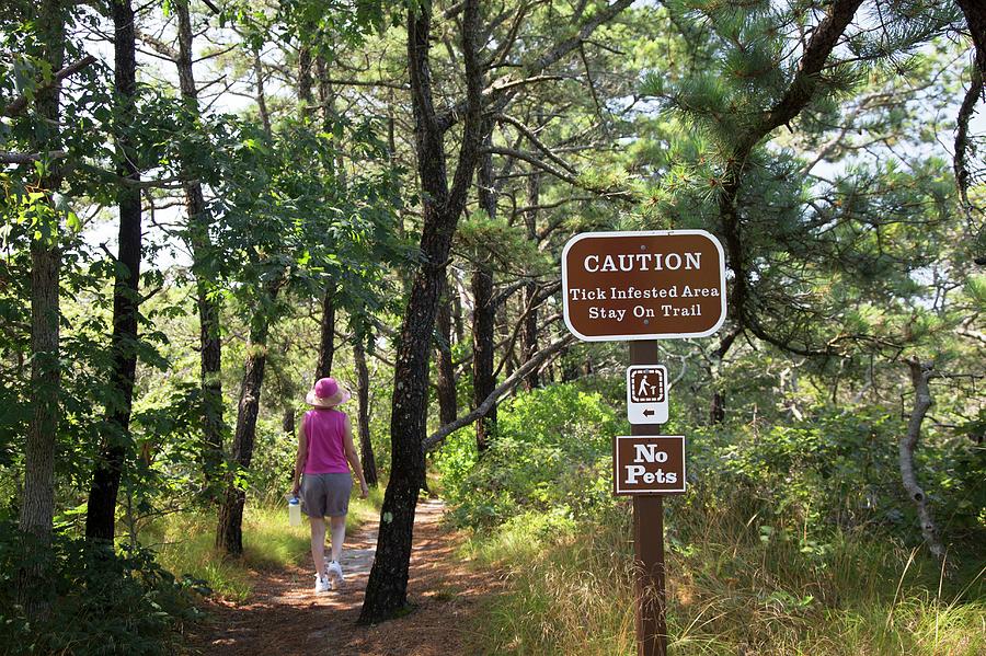 Tick Warning Sign On Hiking Trail Photograph by Jim West