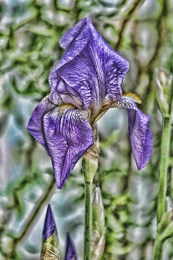 Tid Bit Art - Purple Iris Mixed Media by Lesa Fine