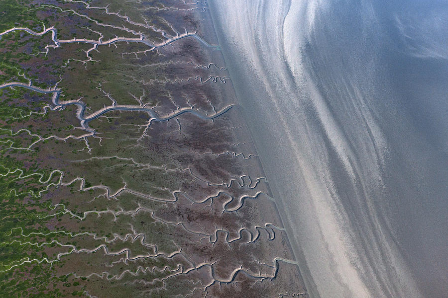 Tidal Channels At Low Tide Cook Inlet Photograph by Ingo Arndt