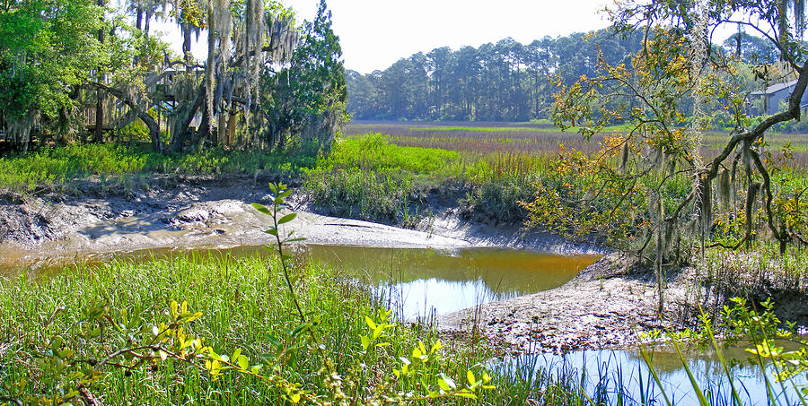 Tidal Creek in the Savannah Photograph by Duane McCullough