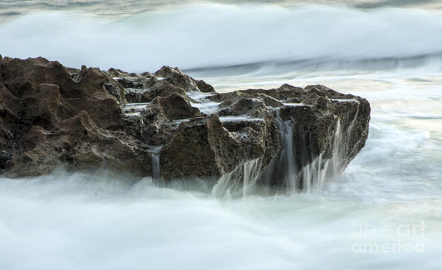 Nature Photograph - Tidal Motion by Darleen Stry