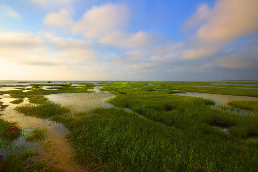 above ground pools cape cod