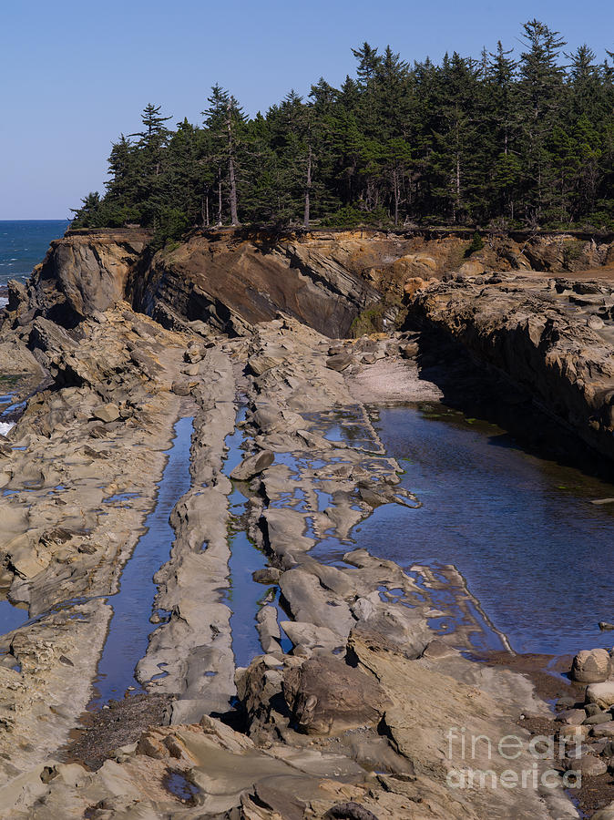 Erosion Photograph - Tide Pools by Tracy Knauer