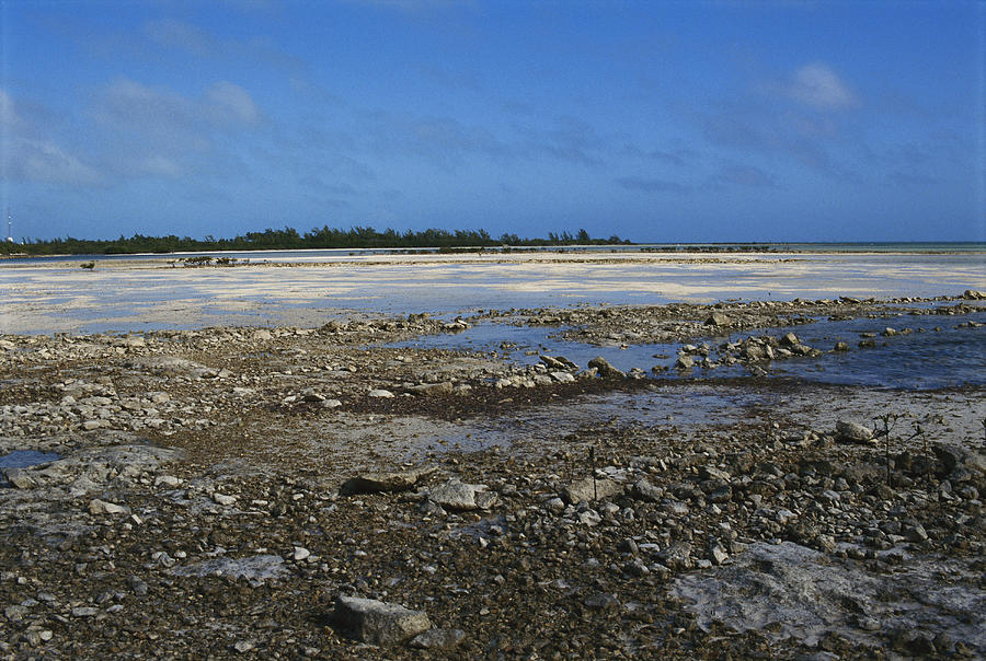 Tide Flats, Bahamas Photograph by Carleton Ray