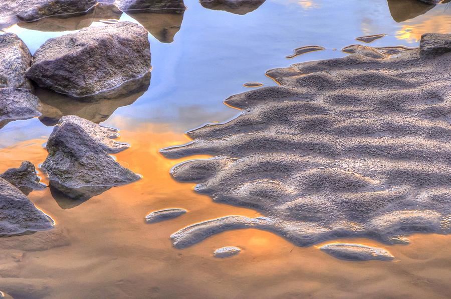 Tide Pool Photograph by Charlotte Schafer