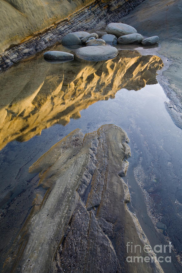 Tide Pool Photograph by Sean Bagshaw