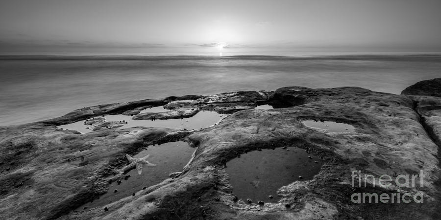 Nature Photograph - Tide Pool Sunset 16x8 Crop BW by Michael Ver Sprill