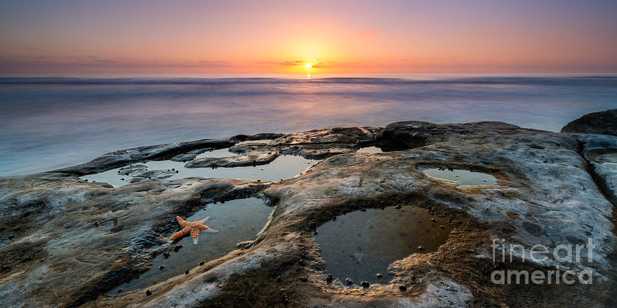 Tide Pool Sunset 16x8 Crop  Photograph by Michael Ver Sprill