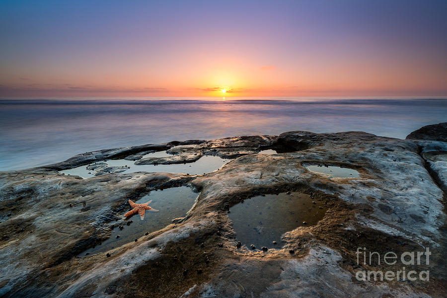 Nature Photograph - Tide Pool Sunset by Michael Ver Sprill