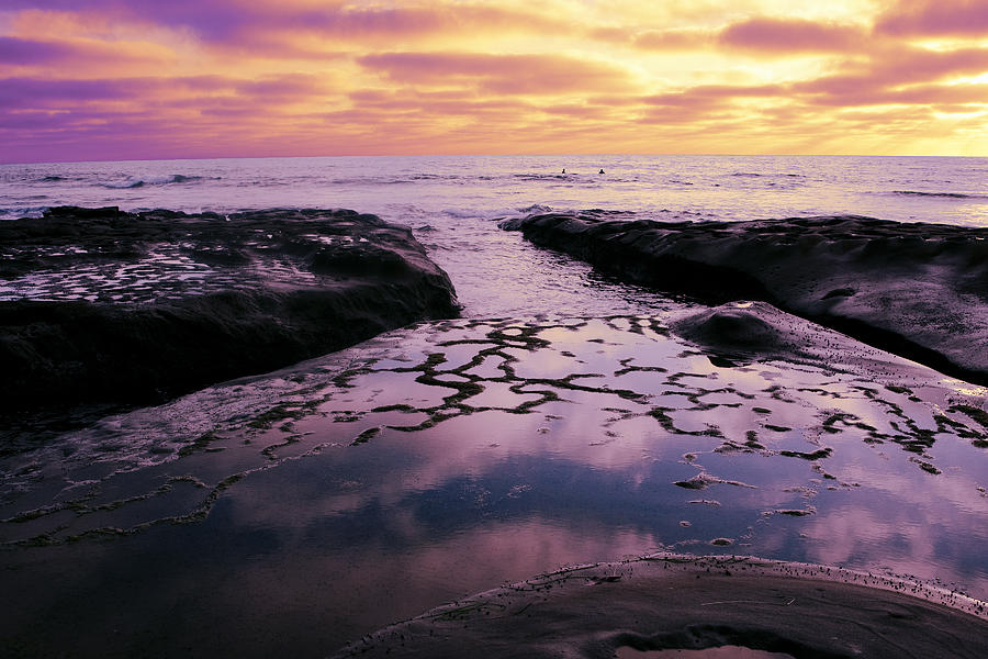 Nature Photograph - Tide Pools by Nicole Swanger