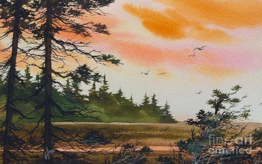 Tideland Dawn Painting by James Williamson