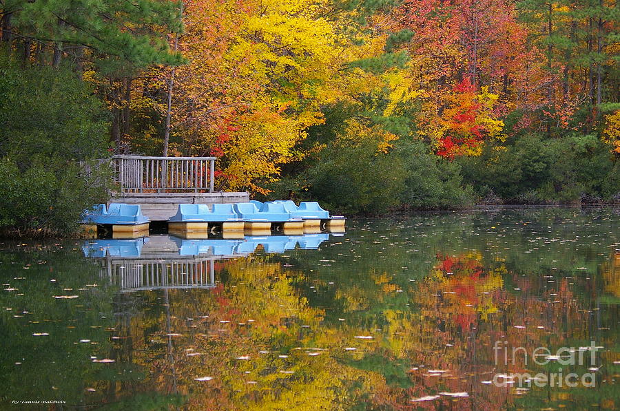 Tidewater Autumn Photograph by Tannis  Baldwin