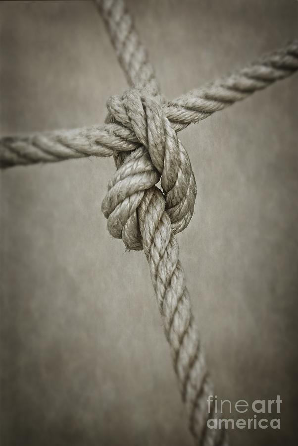 Tied Knot Photograph by Carlos Caetano