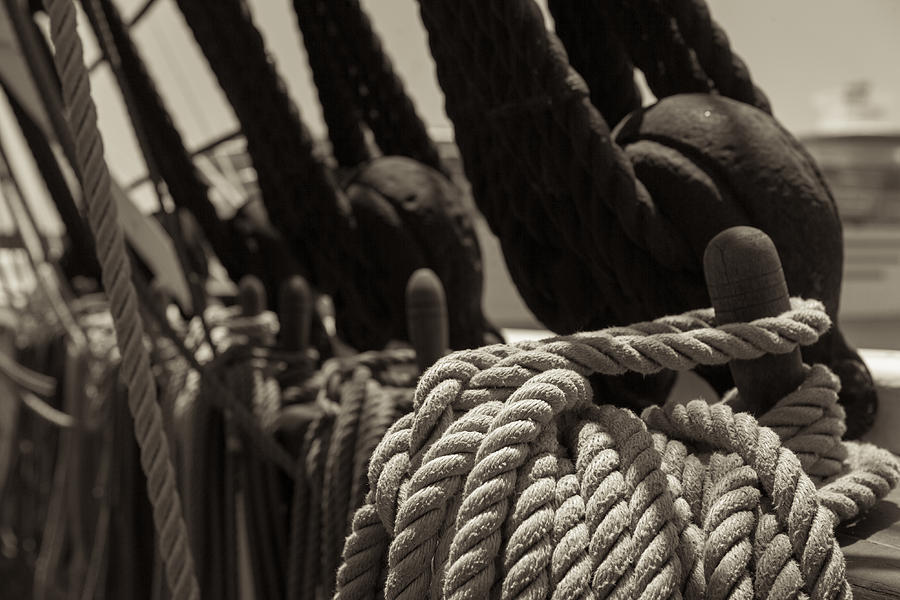 San Diego Photograph - Tied Up black and White sepia by Scott Campbell