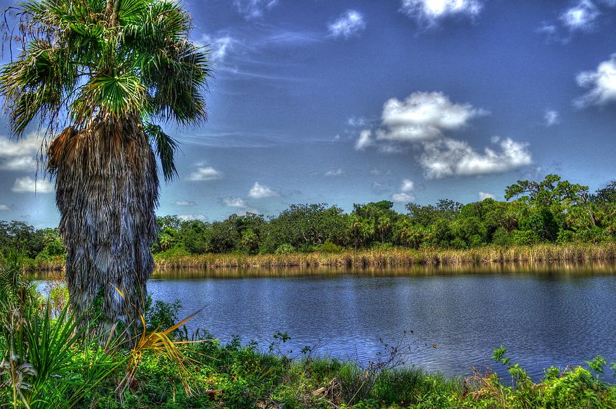 Tierra Verde Florida Photograph by Timothy Lowry