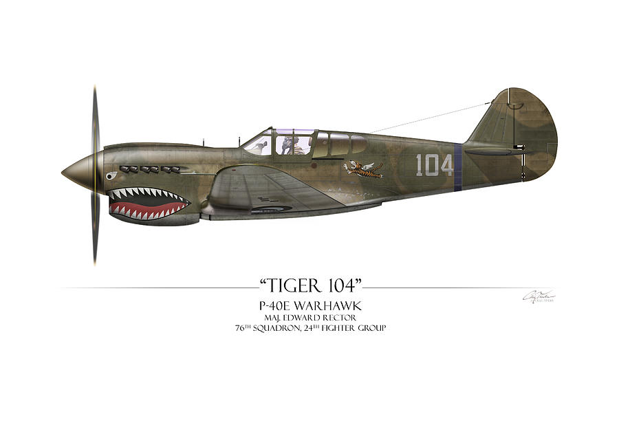 Hawk Painting - Tiger 104 P-40 Warhawk - White Background by Craig Tinder