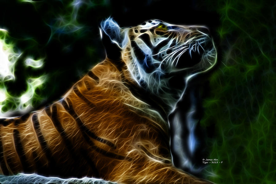 Tiger 3513 - F Digital Art by James Ahn