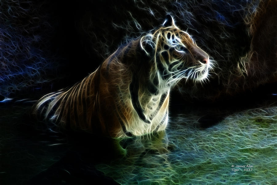 Tiger 3837 - F Digital Art by James Ahn