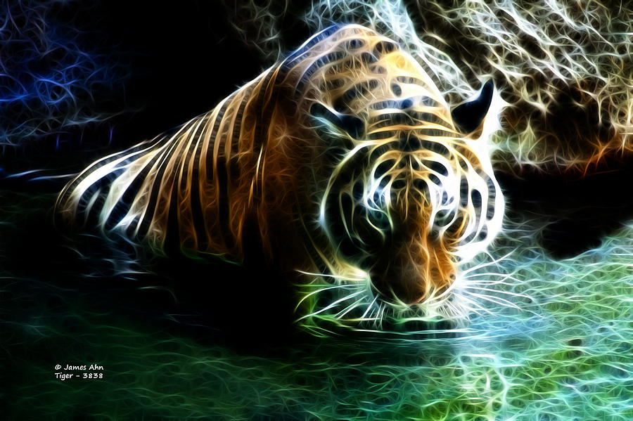 Tiger 3838 - F Digital Art by James Ahn