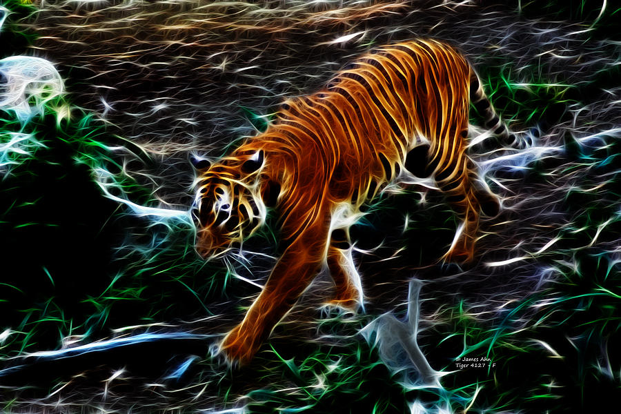 Tiger 4217 - F Digital Art by James Ahn