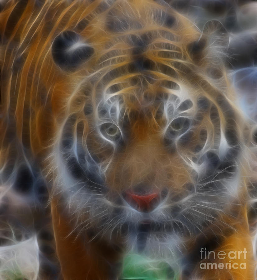 Animal Photograph - Tiger-5316-Fractal by Gary Gingrich Galleries