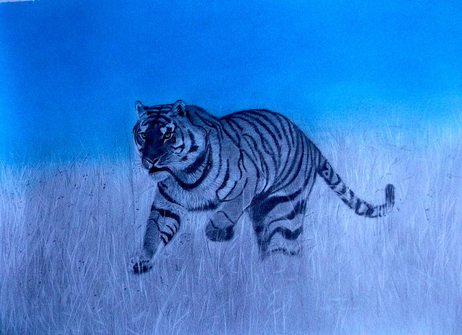 Tiger Drawing - Tiger and Blue Sky by Derrick Parsons