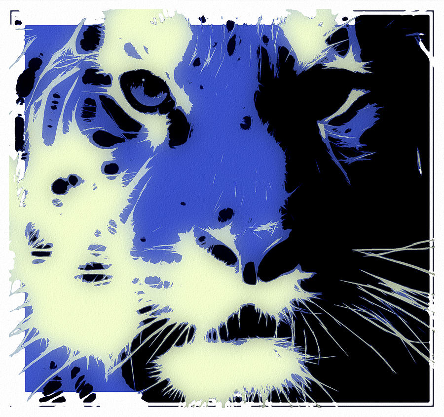 Tiger Photograph - Tiger Blue by Tilly Williams