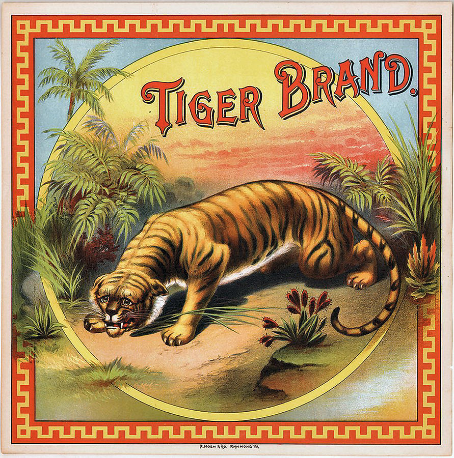 Tiger Digital Art - Tiger Brand by Studio Artist