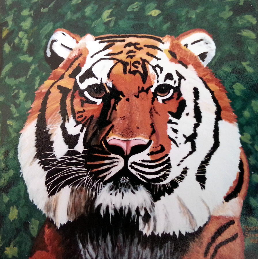 Tiger Painting by Brenda Stevens Fanning