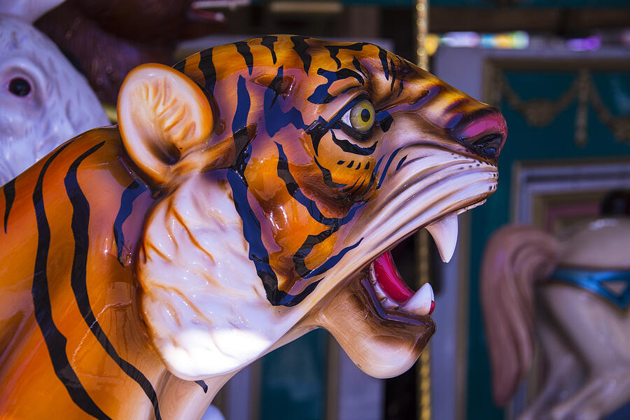 Tiger Photograph - Tiger Carrousel Ride by Garry Gay