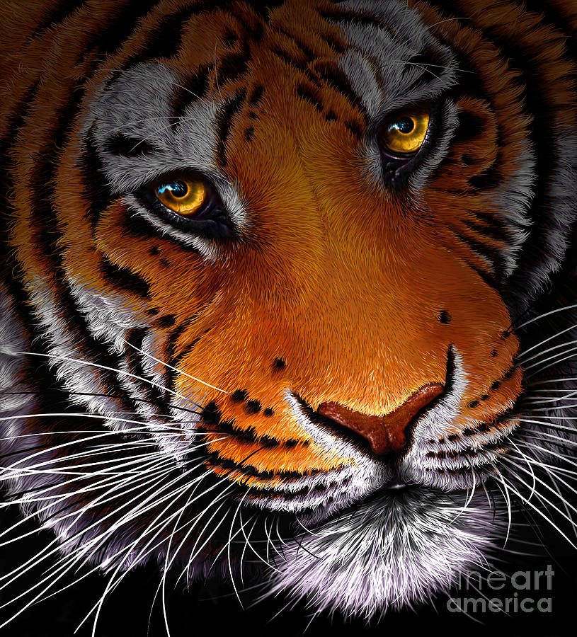 Tiger Classic Digital Art by Jurek Zamoyski