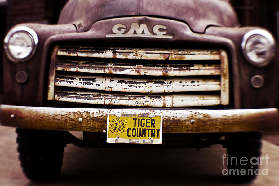 Baton Rouge Photograph - Tiger Country - Purple and Old by Scott Pellegrin