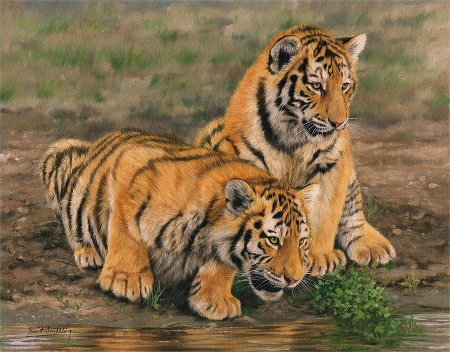 Tiger Painting - Tiger Cubs by David Stribbling