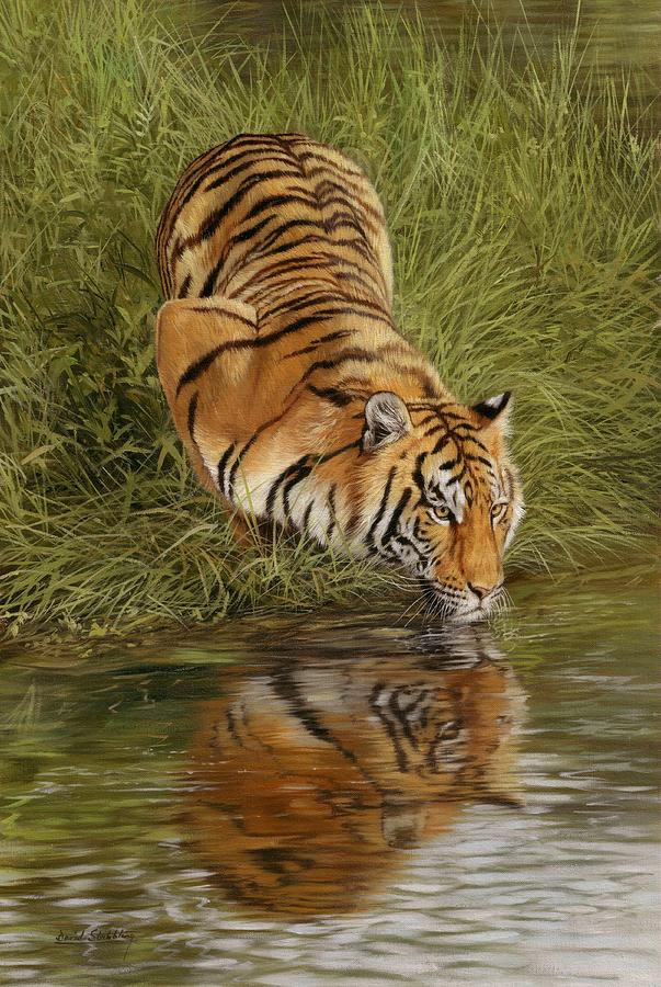 Tiger Painting by David Stribbling