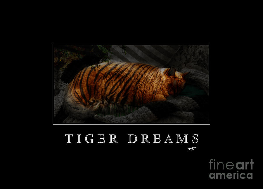 Tiger Dreams Poster Photograph by Kathi Shotwell