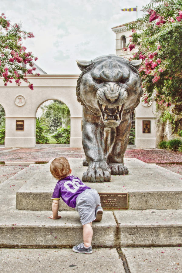 Baton Rouge Photograph - Tiger Dreams by Scott Pellegrin