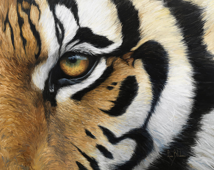 Tiger Eye Painting by Lucie Bilodeau