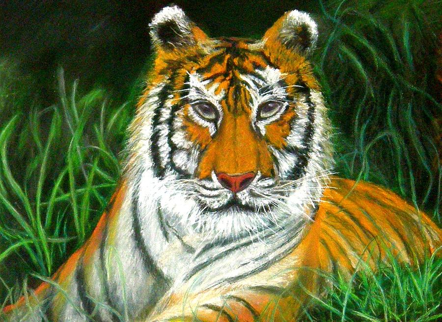 Tiger Eyes - Pastel Sold Pastel by Antonia Citrino