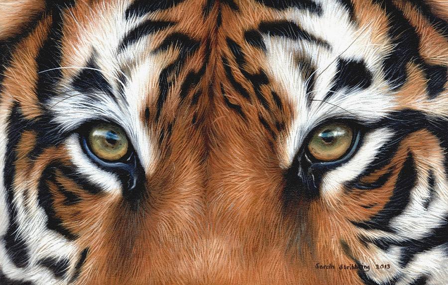 Tiger Eyes Painting by Sarah Stribbling