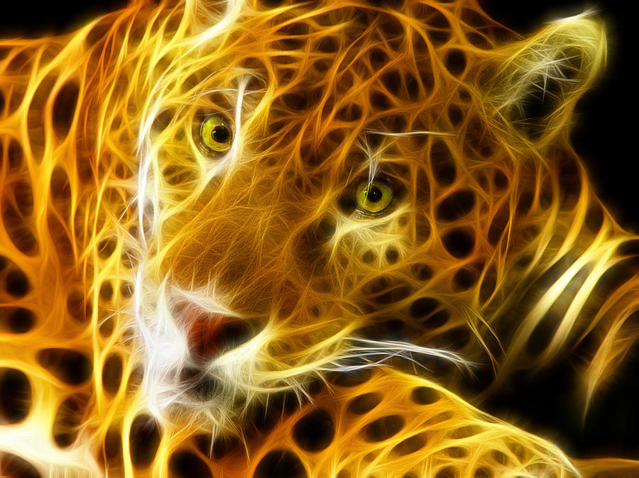 Tiger Face Digital Art by Mark Ashkenazi - Fine Art America