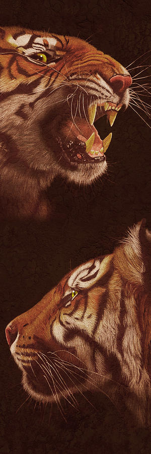 Tiger Painting - Tiger Faces by Monika Juengling