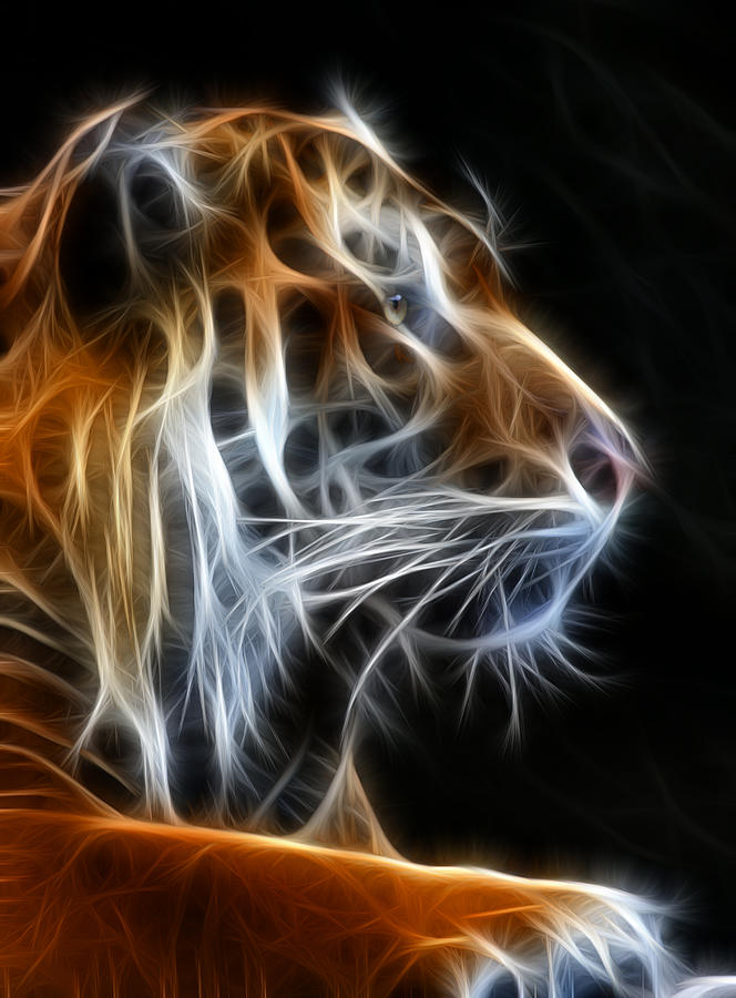 Tiger Fractal 2 Photograph by Shane Bechler