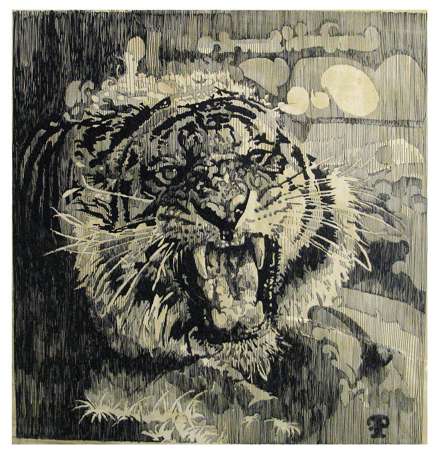 Animal Drawing - Tiger by Frank Papandrea