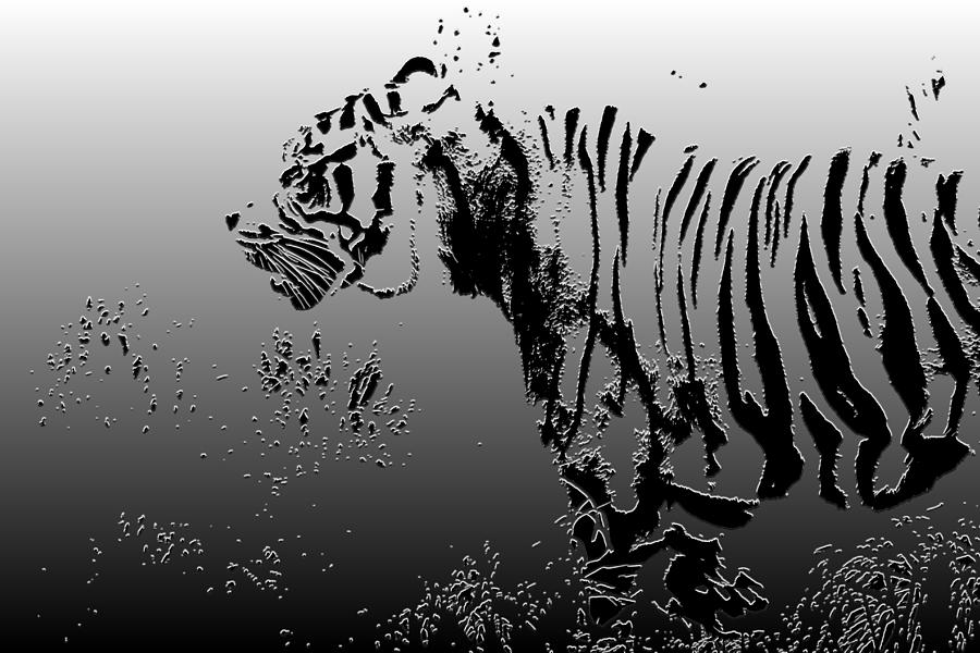 Wildlife Photograph - Tiger illustration design by Chris Smith